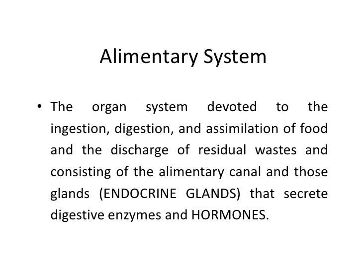 Alimentary system