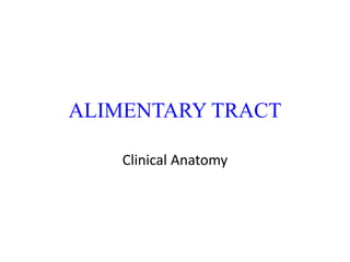 ALIMENTARY TRACT
Clinical Anatomy
 