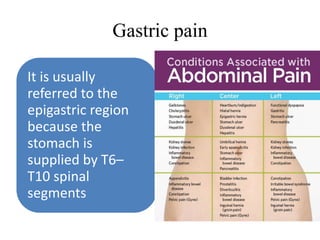 Gastric pain
It is usually
referred to the
epigastric region
because the
stomach is
supplied by T6–
T10 spinal
segments
 
