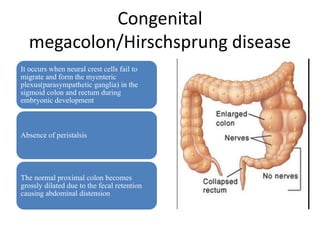 Congenital
megacolon/Hirschsprung disease
It occurs when neural crest cells fail to
migrate and form the myenteric
plexus(parasympathetic ganglia) in the
sigmoid colon and rectum during
embryonic development
Absence of peristalsis
The normal proximal colon becomes
grossly dilated due to the fecal retention
causing abdominal distension
 