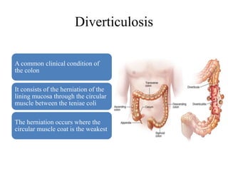Diverticulosis
A common clinical condition of
the colon
It consists of the herniation of the
lining mucosa through the circular
muscle between the teniae coli
The herniation occurs where the
circular muscle coat is the weakest
 
