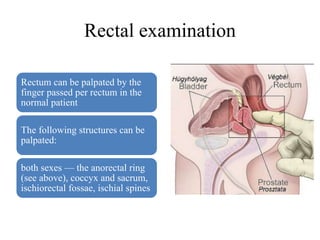Rectal examination
Rectum can be palpated by the
finger passed per rectum in the
normal patient
The following structures can be
palpated:
both sexes — the anorectal ring
(see above), coccyx and sacrum,
ischiorectal fossae, ischial spines
 