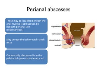 Perianal abscesses
These may be localized beneath the
anal mucosa (submucous), be
beneath perianal skin
(subcutaneous)
May occupy the ischiorectal (-anal)
fossa
Occasionally, abscesses lie in the
pelvirectal space above levator ani
 