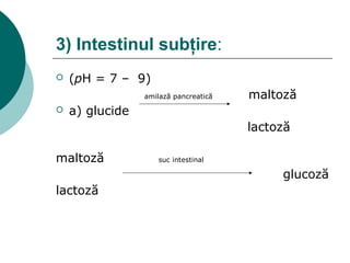 3) Intestinul subţire:
 (pH = 7 – 9)
amilază pancreatică maltoză
 a) glucide
lactoză
maltoză suc intestinal
glucoză
lactoză
 