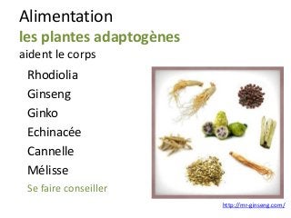 Alimentation
les plantes adaptogènes
aident le corps
http://mr-ginseng.com/
Rhodiolia
Ginseng
Ginko
Echinacée
Cannelle
Mélisse
Se faire conseiller
 