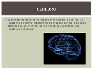  El cerebro humano es un órgano muy complejo que realiza
funciones de suma importancia de manera general se puede
afirmar que se encarga tanto de regular y mantener las
funciones del cuerpo.
CEREBRO
 