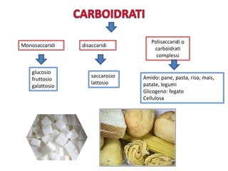Monosaccaridi disaccaridi
Polisaccaridi o
carboidrati
complessi
glucosio
fruttosio
galattosio
saccarosio
lattosio
Amido: pane, pasta, riso, mais,
patate, legumi
Glicogeno: fegato
Cellulosa
 