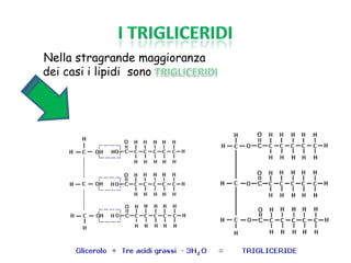 Nella stragrande maggioranza
dei casi i lipidi sono
 