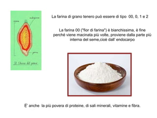 La farina di grano tenero può essere di tipo 00, 0, 1 e 2
La farina 00 ("fior di farina") è bianchissima, è fine
perché viene macinata più volte, proviene dalla parte più
interna del seme,cioè dall’ endocarpo
E’ anche la più povera di proteine, di sali minerali, vitamine e fibra.
 