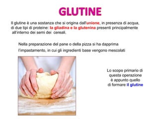 Il glutine è una sostanza che si origina dall'unione, in presenza di acqua,
di due tipi di proteine: la gliadina e la glutenina presenti principalmente
all’interno dei semi dei cereali.
Nella preparazione del pane o della pizza si ha dapprima
l’impastamento, in cui gli ingredienti base vengono mescolati
Lo scopo primario di
questa operazione
è appunto quello
di formare il glutine
 
