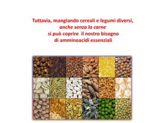 Tuttavia, mangiando cereali e legumi diversi,
anche senza la carne
si può coprire il nostro bisogno
di amminoacidi essenziali.
 