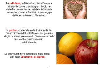La cellulosa, nell’intestino, fissa l'acqua e
si gonfia come una spugna, il volume
delle feci aumenta, la peristalsi intestinale
aumenta e così è facilitato il passaggio
delle feci attraverso l'intestino.
La pectina, contenuta nella frutta rallenta
l’assorbimento del colesterolo, dei grassi e
degli zuccheri, prevenendo l’insorgenza delle
le malattie cardiovascolari
e del diabete
.
La quantità di fibre consigliata nella dieta
è di circa 30 grammi al giorno.
 