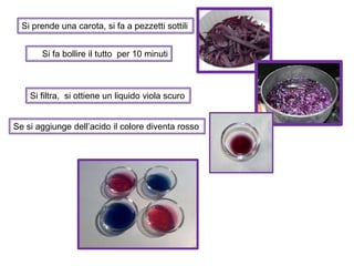 Si prende una carota, si fa a pezzetti sottili
Si fa bollire il tutto per 10 minuti
Si filtra, si ottiene un liquido viola scuro
Se si aggiunge dell’acido il colore diventa rosso
 