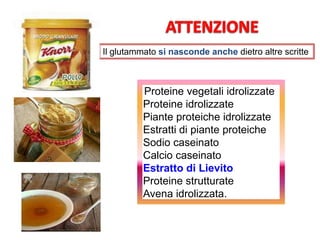 Il glutammato si nasconde anche dietro altre scritte
Proteine vegetali idrolizzate
Proteine idrolizzate
Piante proteiche idrolizzate
Estratti di piante proteiche
Sodio caseinato
Calcio caseinato
Estratto di Lievito
Proteine strutturate
Avena idrolizzata.
 