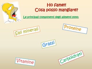 Ho fame!!
Cosa posso mangiare?
Le principali componenti degli alimenti sono:
 