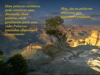 Uma palavra carinhosa
pode amenizar uma       Mas, são as palavras
discussão. Uma          amorosas que
palavra cruel           aquecem e perdoam..
geralmente parte uma
vida. Palavras
pausadas ajudam sua
compreensão
 