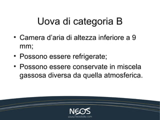 Uova di categoria B
• Camera d’aria di altezza inferiore a 9
  mm;
• Possono essere refrigerate;
• Possono essere conservate in miscela
  gassosa diversa da quella atmosferica.
 
