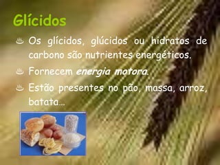 Glícidos
♨ Os glícidos, glúcidos ou hidratos de
  carbono são nutrientes energéticos.
♨ Fornecem energia motora.
♨ Estão presentes no pão, massa, arroz,
  batata…
 