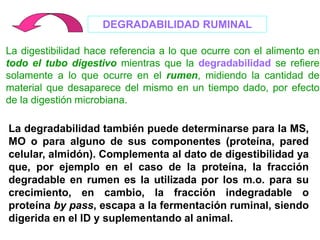 DEGRADABILIDAD RUMINAL
La digestibilidad hace referencia a lo que ocurre con el alimento en
todo el tubo digestivo mientras que la degradabilidad se refiere
solamente a lo que ocurre en el rumen, midiendo la cantidad de
material que desaparece del mismo en un tiempo dado, por efecto
de la digestión microbiana.
La degradabilidad también puede determinarse para la MS,
MO o para alguno de sus componentes (proteína, pared
celular, almidón). Complementa al dato de digestibilidad ya
que, por ejemplo en el caso de la proteína, la fracción
degradable en rumen es la utilizada por los m.o. para su
crecimiento, en cambio, la fracción indegradable o
proteína by pass, escapa a la fermentación ruminal, siendo
digerida en el ID y suplementando al animal.
 