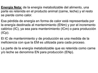 Energía Neta: de la energía metabolizable del alimento, una
parte es retenida en el producto animal (carne, leche) y el resto
se pierde como calor.
Esa pérdida de energía en forma de calor está representada por
la energía destinada al mantenimiento (ENm) y por el incremento
calórico (IC), ya sea para mantenimiento (ICm) o para producción
(ICp).
El IC de mantenimiento y de producción es una medida de la
ineficiencia con que la EM es utilizada para cada proceso.
La parte de la energía metabolizable que es retenida como carne
y/o leche se denomina EN para producción (ENp).
 