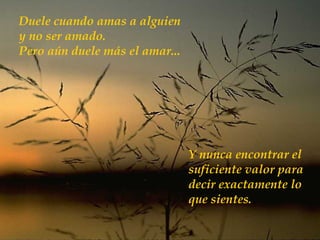Duele cuando amas a alguien y no ser amado. Pero aún duele más el amar ... Y nunca encontrar el  suficiente valor para  decir exactamente lo que sientes. 