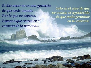 El dar amor no es una garantía de que serás amado.  Por lo que no esperes. Espera a que crezca en el  corazón de la persona... Sólo en el caso de que no crezca, sé agradecido de que pudo germinar en tu corazón. 