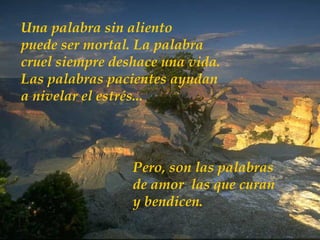 Una palabra sin aliento puede ser mortal. La palabra cruel siempre deshace una vida. Las palabras pacientes ayudan  a nivelar el estrés... Pero, son las palabras de amor  las que curan y bendicen. 