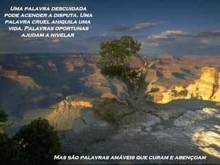 Uma palavra descuidada pode acender a disputa. Uma palavra cruel aniquila uma  vida. Palavras oportunas ajudam a nivelar  Mas são palavras amáveis que curam e abençoam 