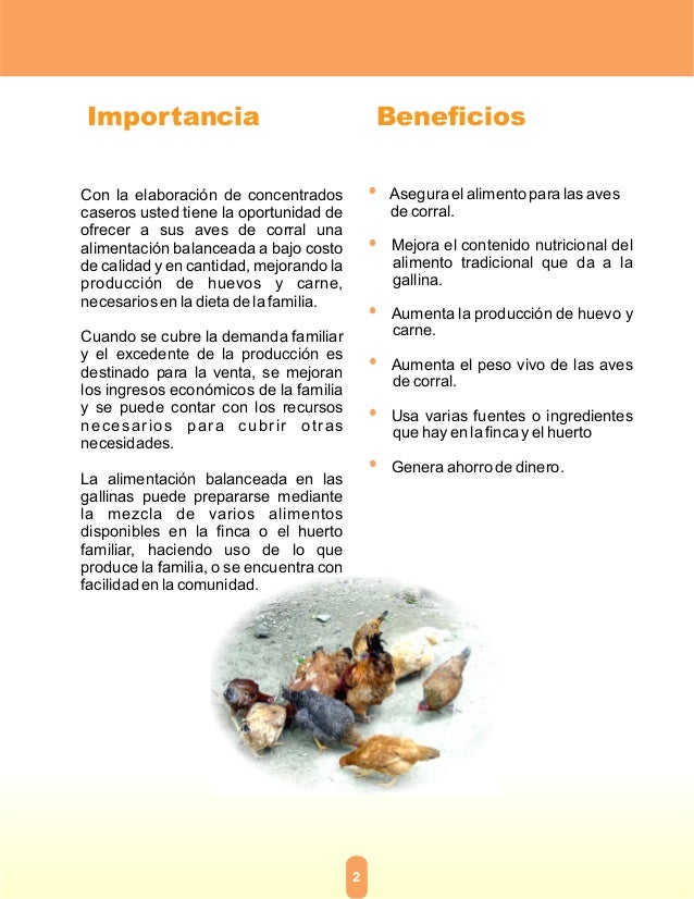 Alimento artesanal para aves