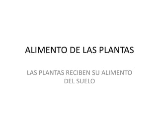ALIMENTO DE LAS PLANTAS

LAS PLANTAS RECIBEN SU ALIMENTO
           DEL SUELO
 