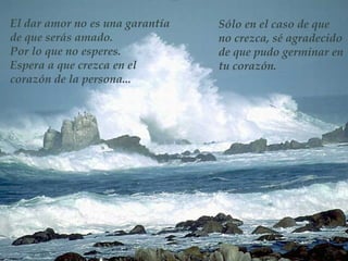 El dar amor no es una garantía   Sólo en el caso de que
de que serás amado.              no crezca, sé agradecido
Por lo que no esperes.           de que pudo germinar en
Espera a que crezca en el        tu corazón.
corazón de la persona...
 