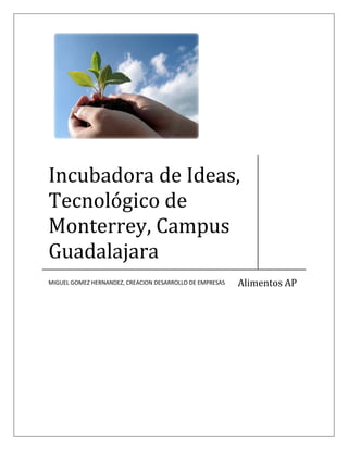 Incubadora de Ideas,
Tecnológico de
Monterrey, Campus
Guadalajara
                                                          Alimentos AP
MIGUEL GOMEZ HERNANDEZ, CREACION DESARROLLO DE EMPRESAS
 