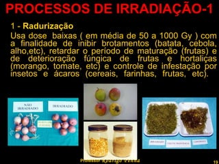 PROCESSOS DE IRRADIAÇÃO-1 1 -  Radurização   Usa dose  baixas ( em média de 50 a 1000 Gy ) com a finalidade de inibir brotamentos (batata, cebola, alho,etc), retardar o período de maturação (frutas) e de deterioração fúngica de frutas e hortaliças (morango, tomate, etc) e controle de infestação por insetos e ácaros (cereais, farinhas, frutas, etc).   Professor  Rodrigo Penna 