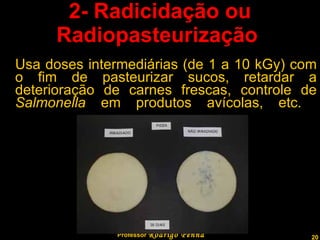 2- Radicidação ou Radiopasteurização  Usa doses intermediárias (de 1 a 10 kGy) com o fim de pasteurizar sucos, retardar a deterioração de carnes frescas, controle de  Salmonella  em produtos avícolas, etc.  Professor  Rodrigo Penna 