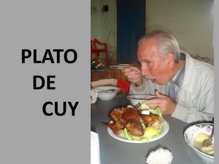 PLATO      DE        CUY
