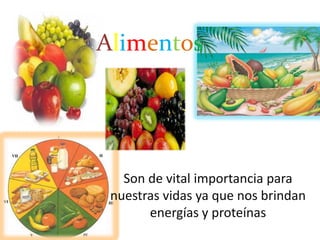 Alimentos Son de vital importancia para nuestras vidas ya que nos brindan energías y proteínas 