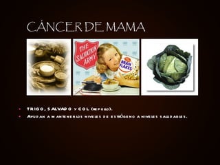 TRIGO, SALVADO y COL (repollo). Ayudan a mantener los niveles de estrógeno a niveles saludables. CÁNCER DE MAMA 