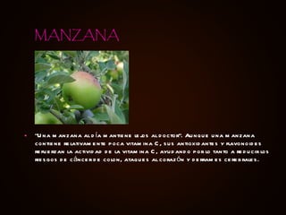 “ Una manzana al día mantiene lejos al doctor”. Aunque una manzana contiene relativamente poca vitamina C, sus antioxidantes y flavonoides refuerzan la actividad de la vitamina C, ayudando por lo tanto a reducir los riesgos de cáncer de colon, ataques al corazón y derrames cerebrales. MANZANA 