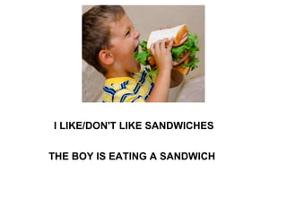 I LIKE/DON'T LIKE SANDWICHES THE BOY IS EATING A SANDWICH 