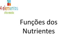 Funções dos Nutrientes