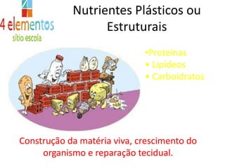 Nutrientes Plásticos ou Estruturais Proteínas• Lipídeos• CarboidratosConstrução da matéria viva, crescimento doorganismo e reparação tecidual.