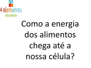 Quantas calorias  são gastas durante as atividades física? 