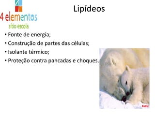 CarboidratosCom exceção do mel, todos os alimentos ricos em carboidratos se originam de plantas.
