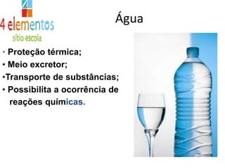 Proteínas Construção do nosso corpo.Vitaminas