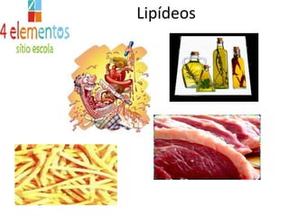 Lipídeos