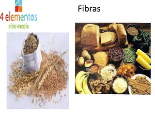 Fibras
