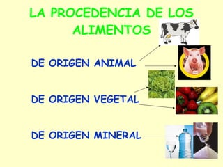 LA PROCEDENCIA DE LOS ALIMENTOS DE ORIGEN ANIMAL DE ORIGEN VEGETAL DE ORIGEN MINERAL 