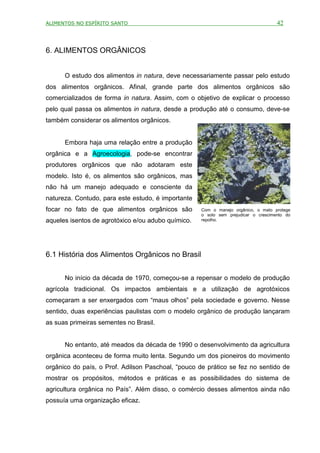 ALIMENTOS NO ESPÍRITO SANTO                                                         42



6. ALIMENTOS ORGÂNICOS


      O estudo dos alimentos in natura, deve necessariamente passar pelo estudo
dos alimentos orgânicos. Afinal, grande parte dos alimentos orgânicos são
comercializados de forma in natura. Assim, com o objetivo de explicar o processo
pelo qual passa os alimentos in natura, desde a produção até o consumo, deve-se
também considerar os alimentos orgânicos.


      Embora haja uma relação entre a produção
orgânica e a Agroecologia, pode-se encontrar
produtores orgânicos que não adotaram este
modelo. Isto é, os alimentos são orgânicos, mas
não há um manejo adequado e consciente da
natureza. Contudo, para este estudo, é importante
focar no fato de que alimentos orgânicos são        Com o manejo orgânico, o mato protege
                                                    o solo sem prejudicar o crescimento do
aqueles isentos de agrotóxico e/ou adubo químico.   repolho.




6.1 História dos Alimentos Orgânicos no Brasil


      No início da década de 1970, começou-se a repensar o modelo de produção
agrícola tradicional. Os impactos ambientais e a utilização de agrotóxicos
começaram a ser enxergados com “maus olhos” pela sociedade e governo. Nesse
sentido, duas experiências paulistas com o modelo orgânico de produção lançaram
as suas primeiras sementes no Brasil.


      No entanto, até meados da década de 1990 o desenvolvimento da agricultura
orgânica aconteceu de forma muito lenta. Segundo um dos pioneiros do movimento
orgânico do país, o Prof. Adilson Paschoal, “pouco de prático se fez no sentido de
mostrar os propósitos, métodos e práticas e as possibilidades do sistema de
agricultura orgânica no País”. Além disso, o comércio desses alimentos ainda não
possuía uma organização eficaz.
 