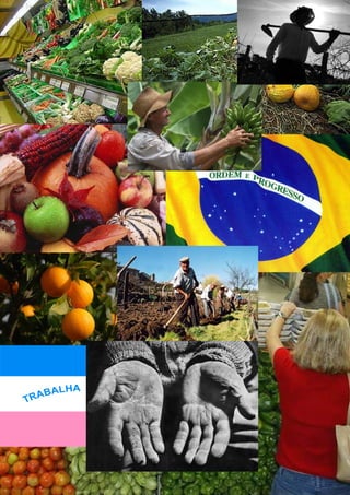 ALIMENTOS NO ESPÍRITO SANTO   51
 