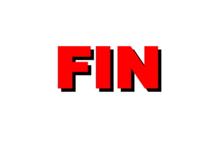 FIN 